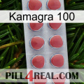 Kamagra 100 18